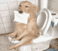 1758463692551.gif