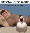 1758679122120.png