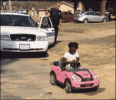 IMG_1523.gif