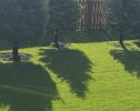 IMG_0089.jpeg