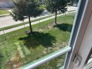 IMG_5622.jpeg