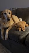IMG_0577.jpeg