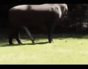 GIF_20251003_113044_777.gif