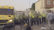 1000008151.gif