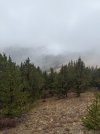 IMG_6459.jpeg