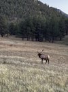 IMG_6434.jpeg