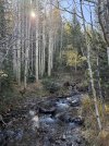 IMG_6405.jpeg