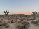 IMG_5873.jpeg