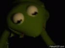 IMG_1542.gif