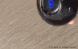 IMG_1543.gif