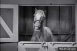 1760370500597.gif