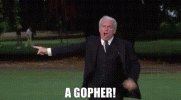 92dfa069-5c50-4411-8434-a1f9f24beaf8_text-892713864.gif