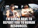 IMG_1549.gif