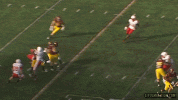 MINNESOTA-FOOTBALL.gif
