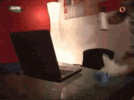 1761441158539.gif