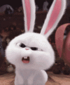 cute-bunny-snowball-secret-life-of-pets-confused-qzb4a9t72zdzpqnz.gif