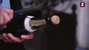 opening-champagne-using-knife-jf306bra0mwwmszd.gif