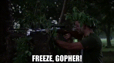 YARN | Freeze, gopher! | Caddyshack (1980) | Video gifs by quotes |  84746788 | 紗