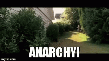 anarchy-talledega.gif