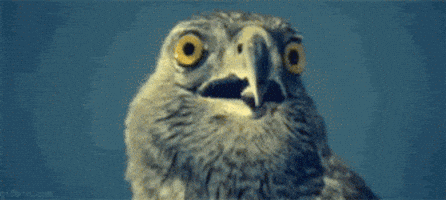 Shocked Eyes GIF