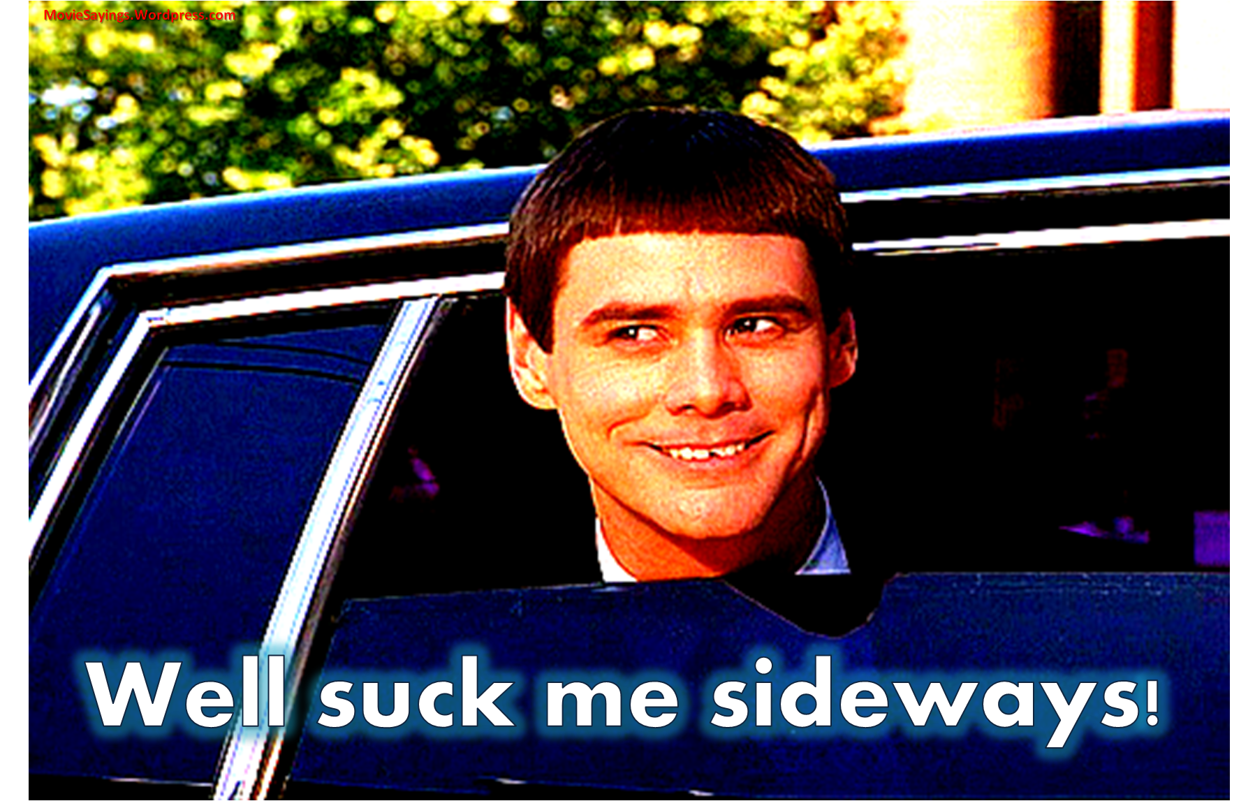 jim-carrey-dumb-dumber.png