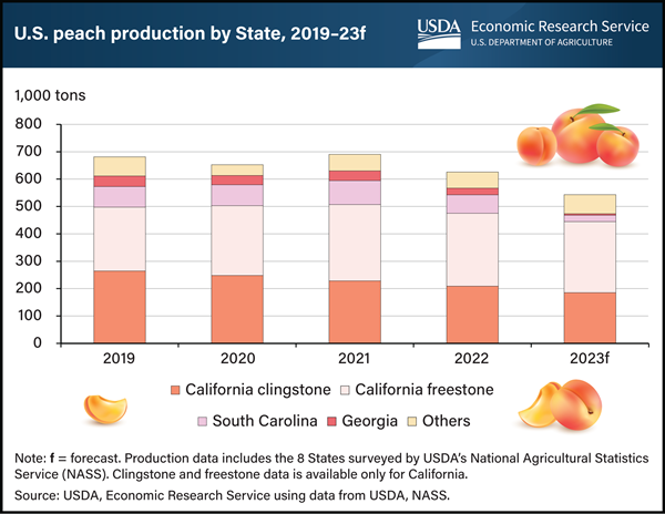 www.ers.usda.gov