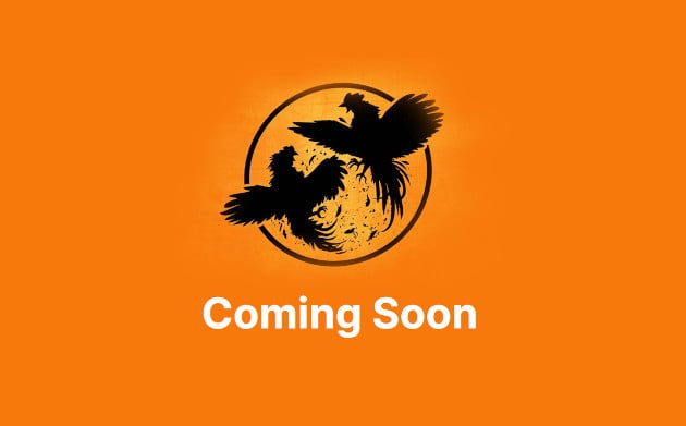 www.savingcountrymusic.com