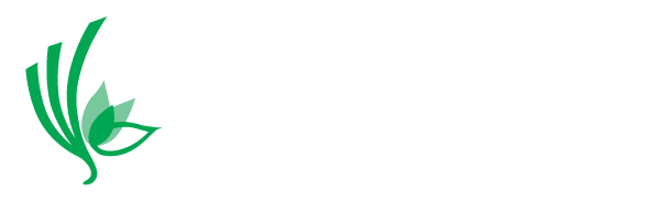 twincityseed.com