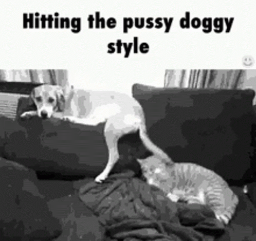 hitting-the-pussy-doggy-style.gif