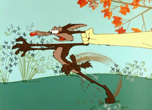 Wile%2BE.%2BCoyote%2B3.gif