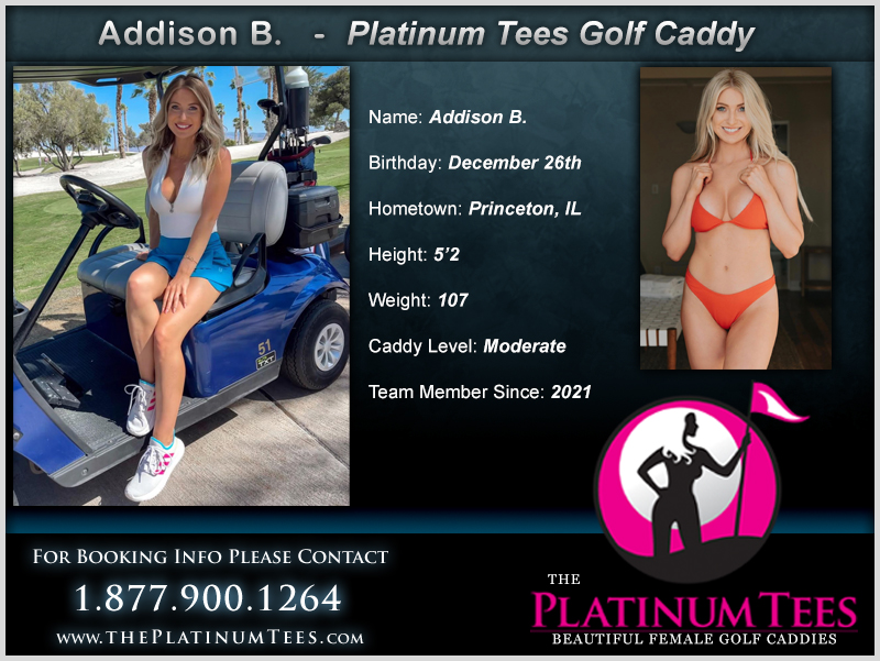 theplatinumtees.com