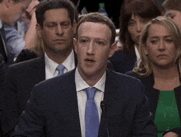 sorry mark zuckerberg GIF