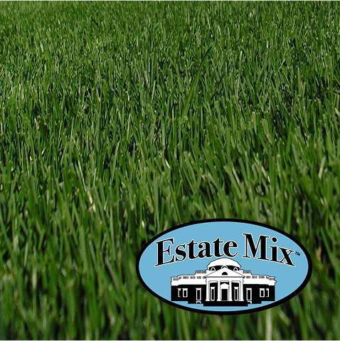 grasspad.com