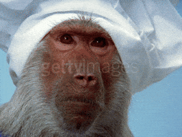 Animated GIF Animated GIF