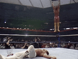 wrestlemania iii wrestling GIF by WWE wrestlemania iii wrestling GIF by WWE