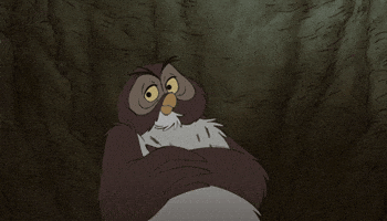what GIF what GIF