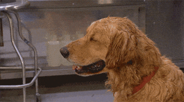 Melting Hot Dog GIF Melting Hot Dog GIF