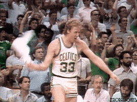 Boston Celtics Yes GIF by NBA Boston Celtics Yes GIF by NBA