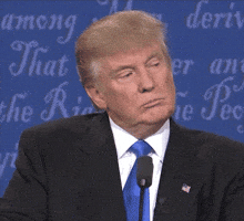Loop Trump GIF Loop Trump GIF
