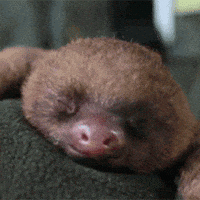 Good Night GIF Good Night GIF