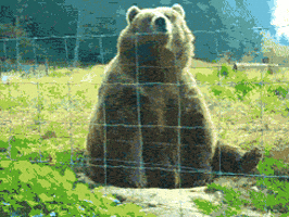 Wave Hello GIF Wave Hello GIF