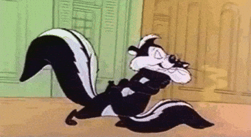 pepe le pew skunk GIF pepe le pew skunk GIF