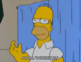homer simpson GIF homer simpson GIF
