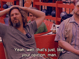 the dude your opinion GIF the dude your opinion GIF