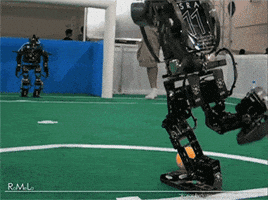 Soccer Fail GIF Soccer Fail GIF