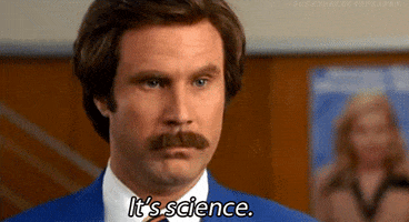 ron burgundy anchorman GIF ron burgundy anchorman GIF