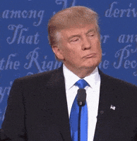 Donald Trump GIF by reactionseditor Donald Trump GIF by reactionseditor