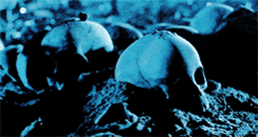 james cameron film GIF james cameron film GIF