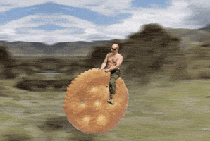 man biscuits GIF man biscuits GIF
