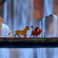 The Lion King Simba GIF by Disney The Lion King Simba GIF by Disney